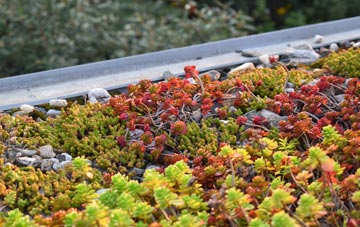 the cost of Ardintoul green roof installation