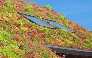Ardintoul living roof systems