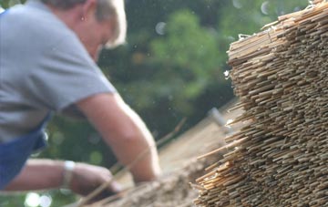 professional Ardintoul thatchers