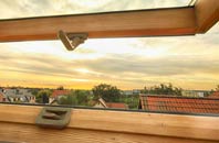 rated Ardintoul roof window companies